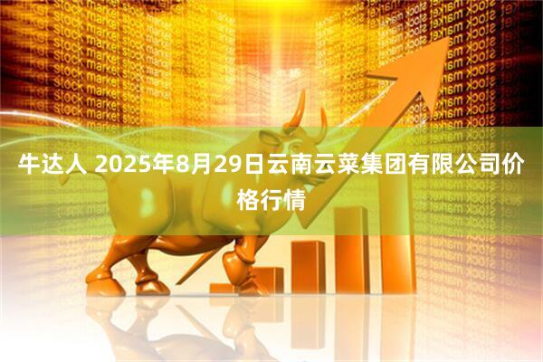牛达人 2025年8月29日云南云菜集团有限公司价格行情