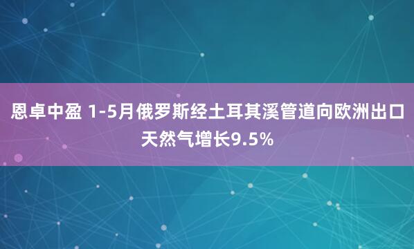 恩卓中盈 1-5月俄罗斯经土耳其溪管道向欧洲出口天然气增长9.5%