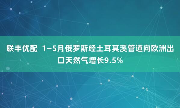 联丰优配  1—5月俄罗斯经土耳其溪管道向欧洲出口天然气增长9.5%
