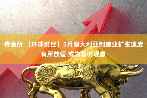 传金所 【环球财经】5月澳大利亚制造业扩张速度有所放缓 或为暂时现象