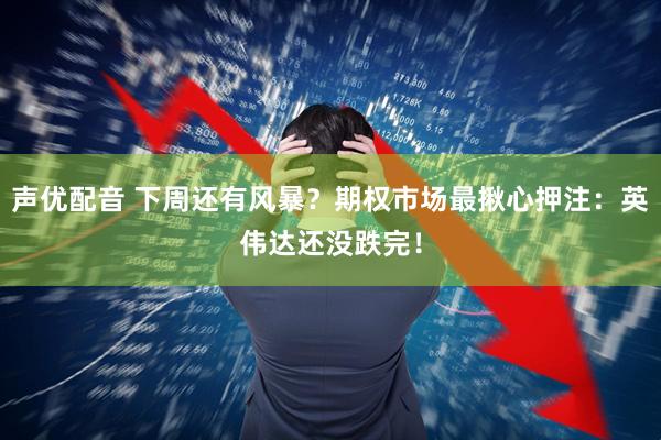 声优配音 下周还有风暴？期权市场最揪心押注：英伟达还没跌完！