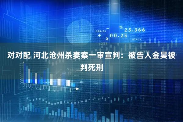 对对配 河北沧州杀妻案一审宣判：被告人金昊被判死刑