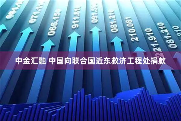 中金汇融 中国向联合国近东救济工程处捐款